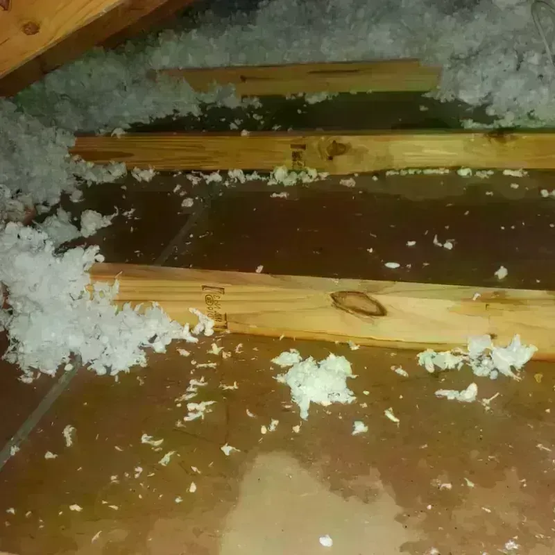 Attic Water Damage in Rockville, IN